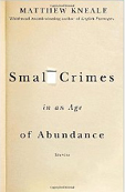 small crimes in an age of abundance